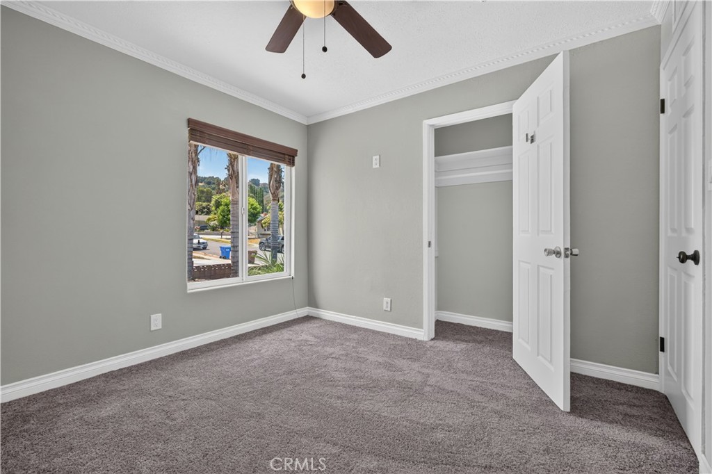 904 Beech Hill Property Photo 29