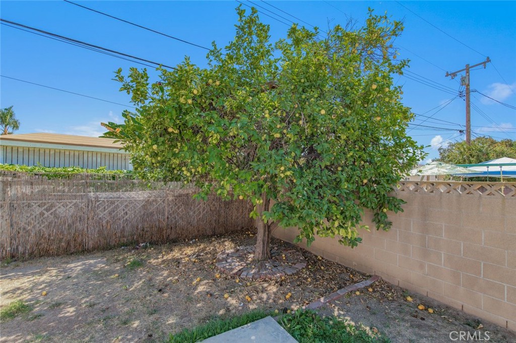 1334 Ardilla Avenue Property Photo 36