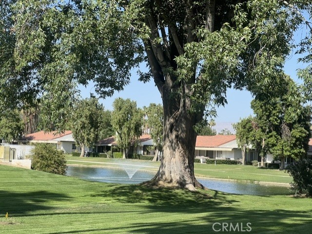 68 El Toro Property Photo 3