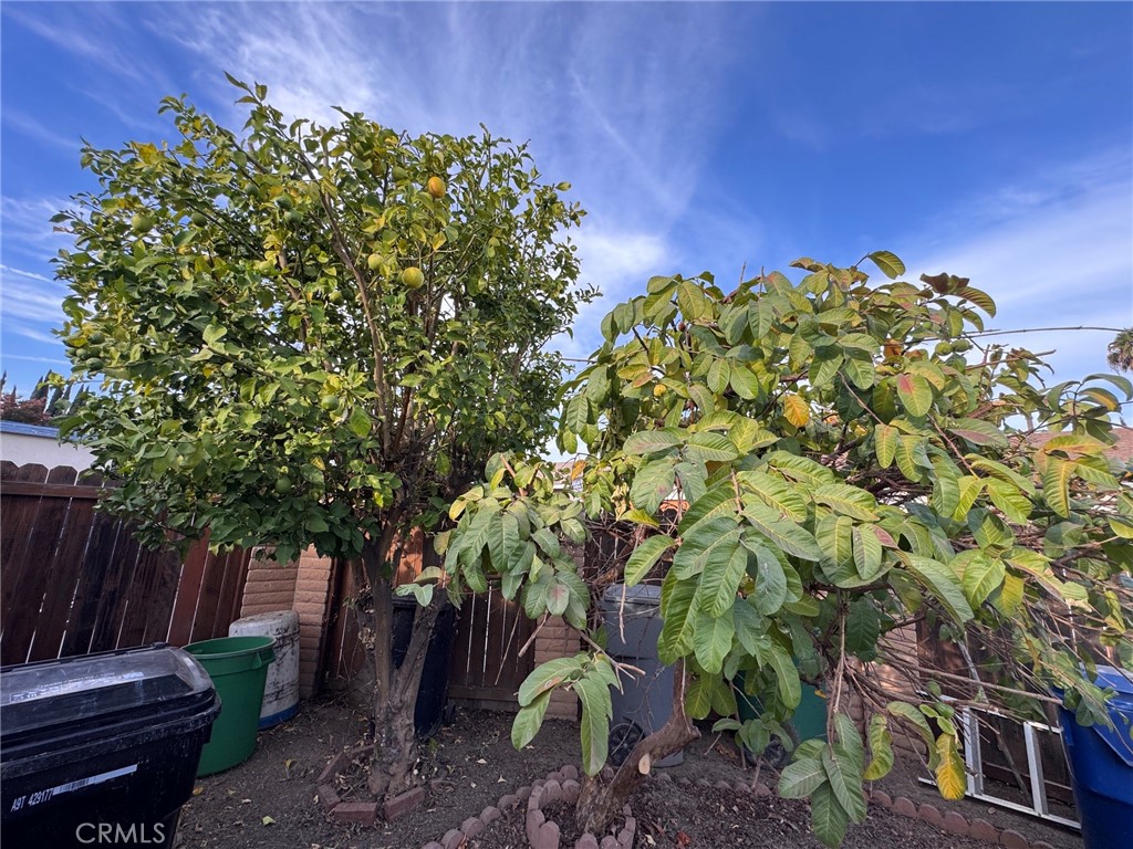 18426 Santar Property Photo 39