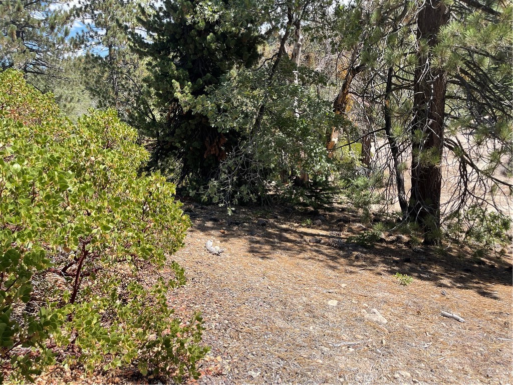 0 Arrowbear Property Photo 1
