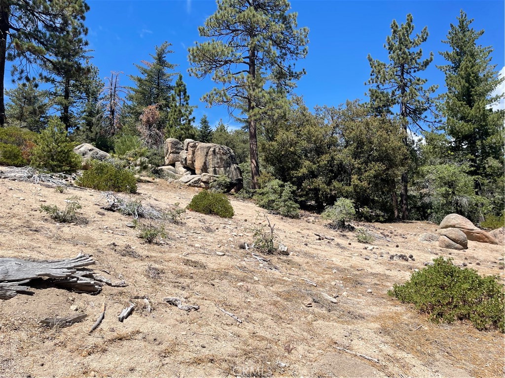 0 Arrowbear Property Photo 2