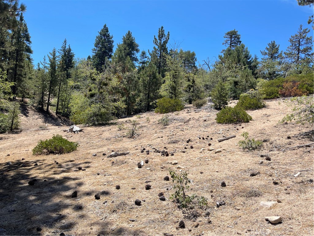 0 Arrowbear Property Photo 3