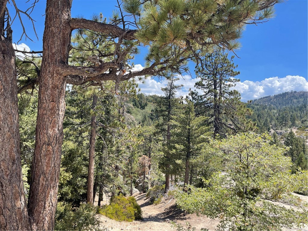 0 Arrowbear Property Photo 4