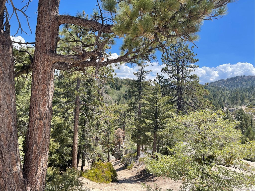 0 Arrowbear Property Photo 4