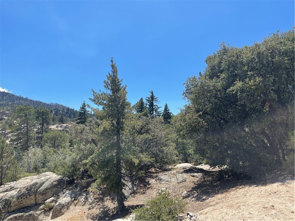 0 Arrowbear Property Photo 6