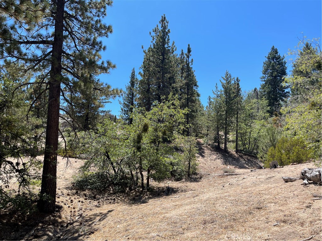 0 Arrowbear Property Photo 7