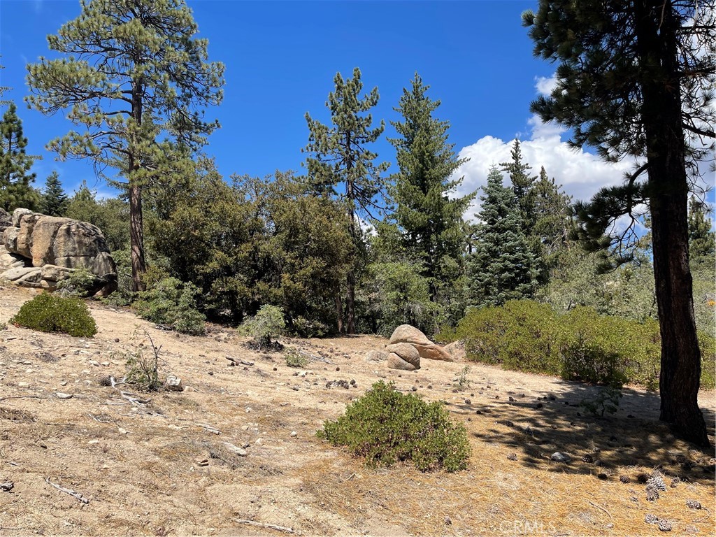 0 Arrowbear Property Photo 8