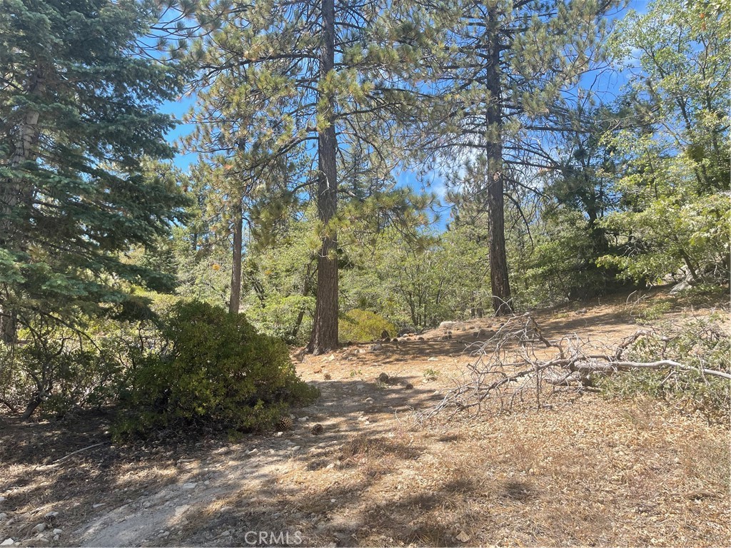 0 Arrowbear Property Photo 10