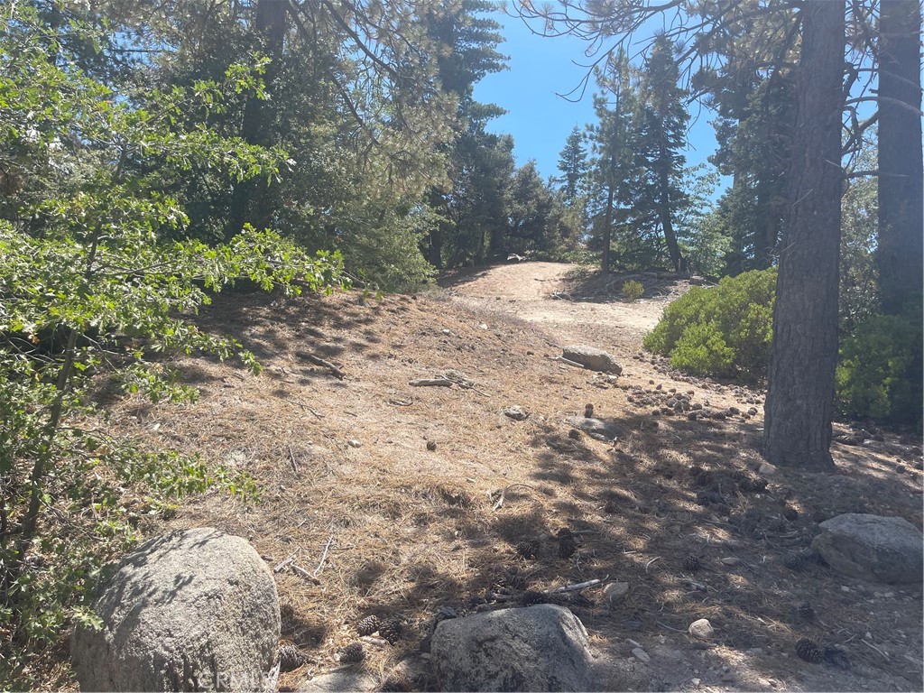 0 Arrowbear Property Photo 11