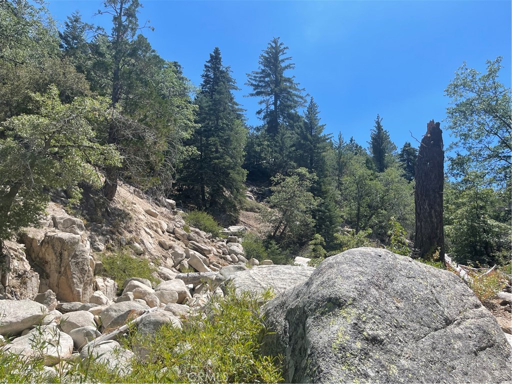 0 Arrowbear Property Photo 12
