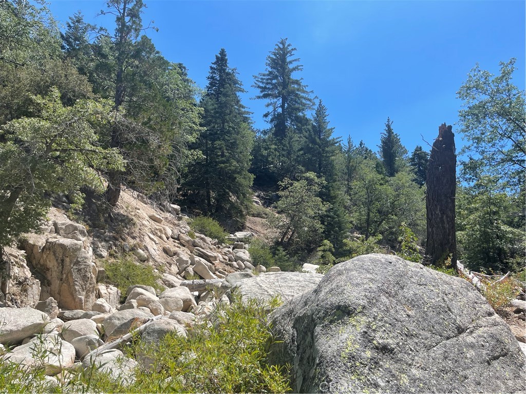0 Arrowbear Property Photo 12