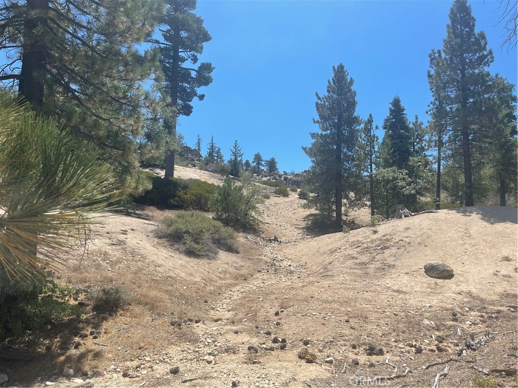 0 Arrowbear Property Photo 13