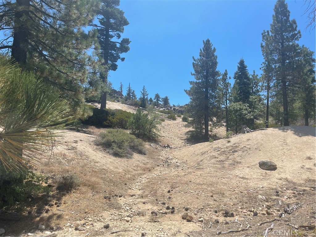 0 Arrowbear Property Photo 13