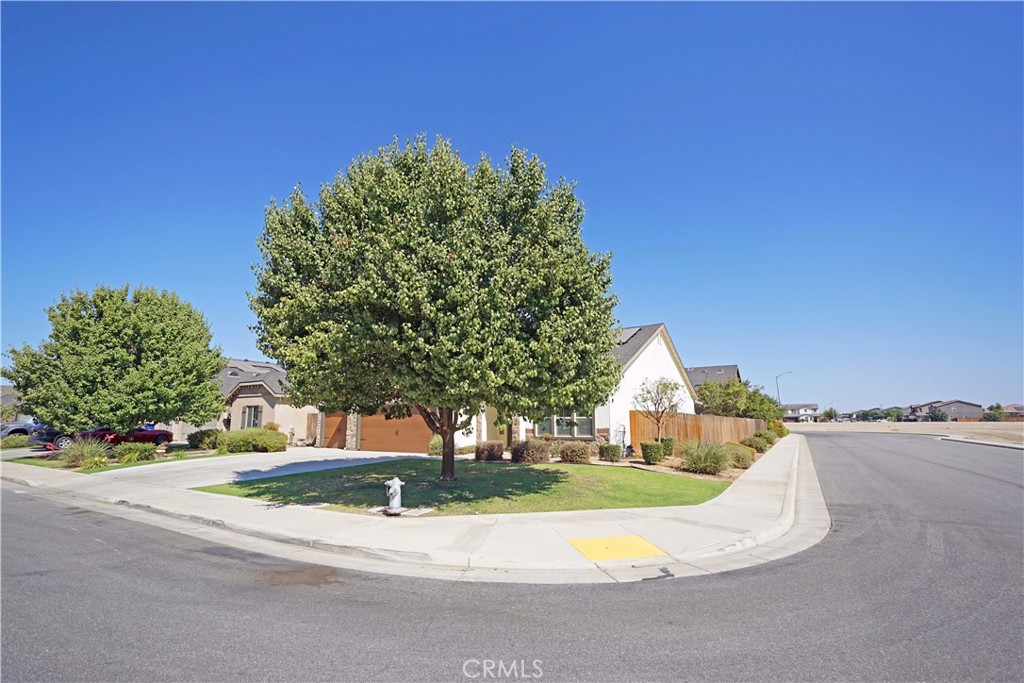 10118 Alondra Dr Property Photo 4