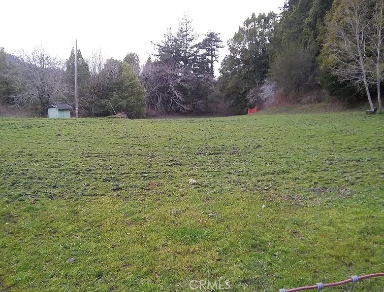 203 Pine Lane Property Photo 5