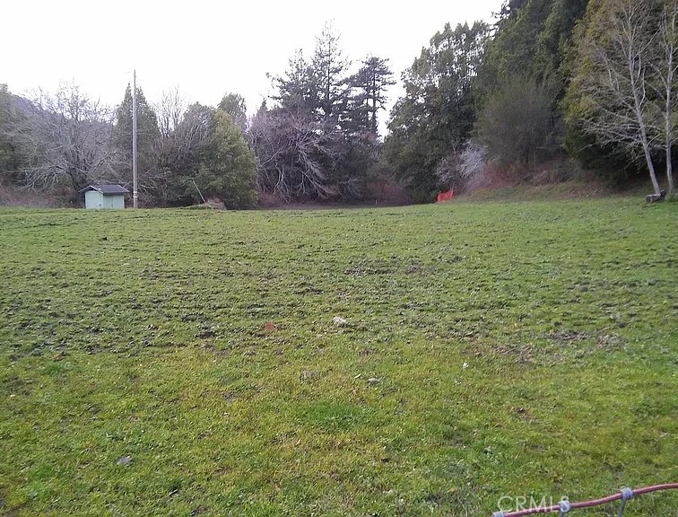 203 Pine Lane Property Photo 6