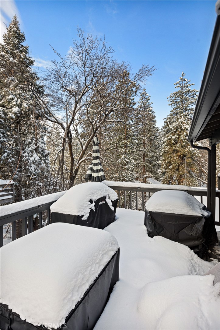 32794 Cougar Lane Property Photo 57