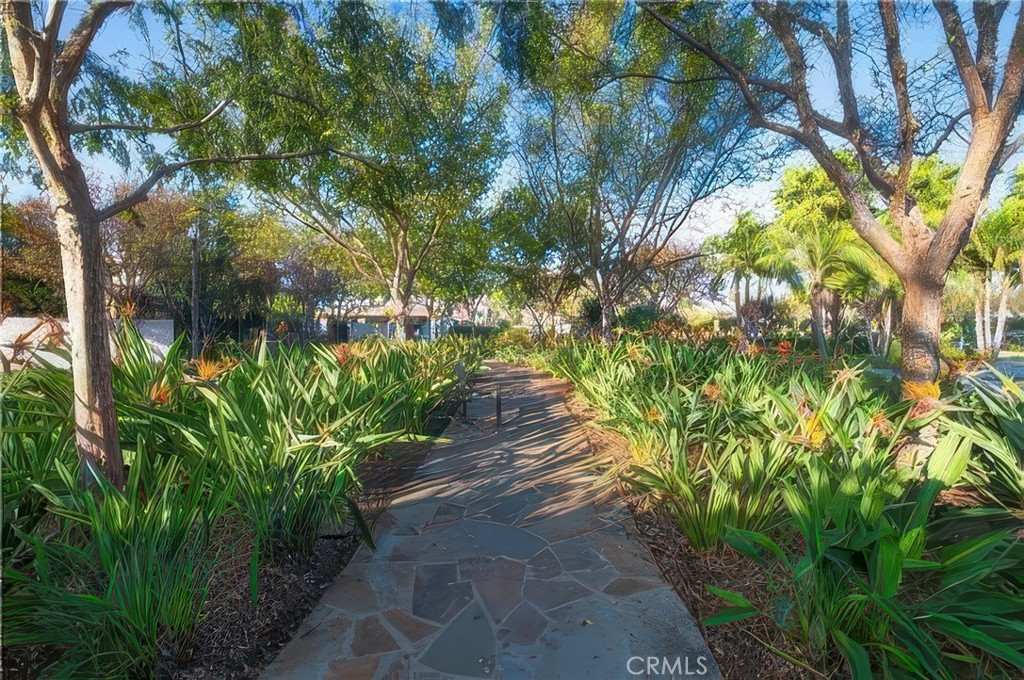 6081 Eucalyptus Property Photo 67