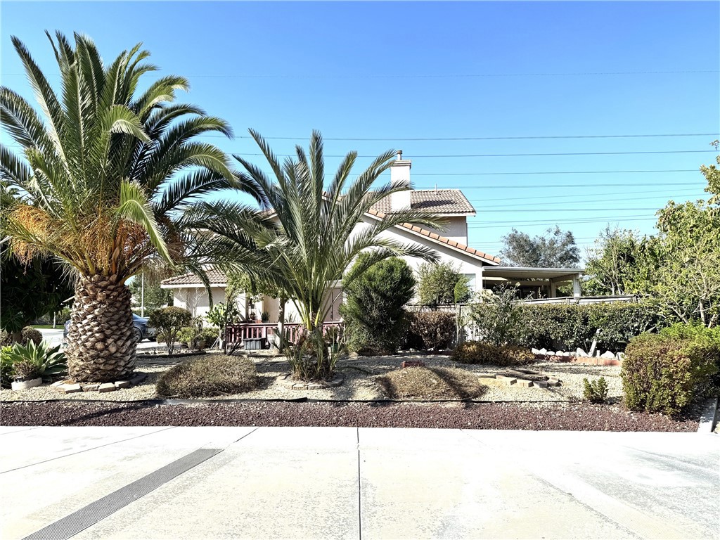11451 Caraway Court Property Photo 18