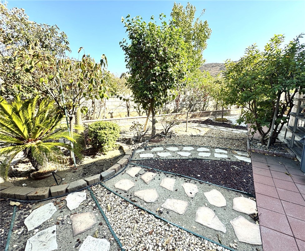 11451 Caraway Court Property Photo 33