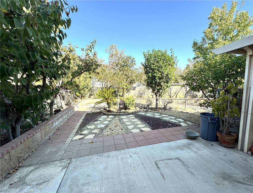 11451 Caraway Court Property Photo 34