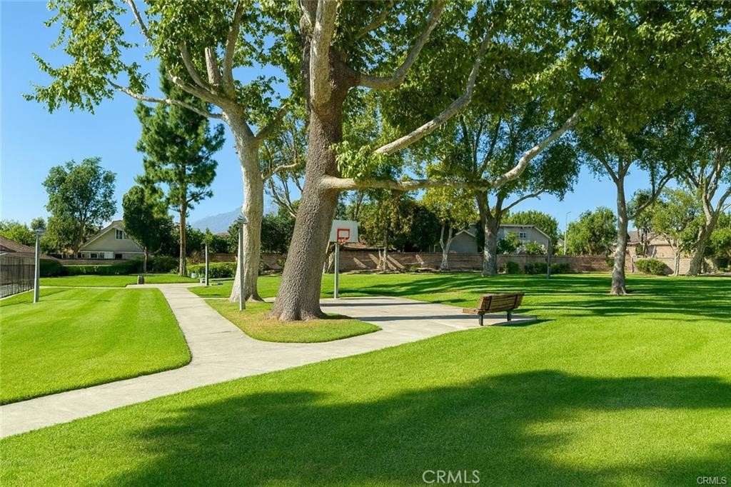 4466 Lidia Court Property Photo 4