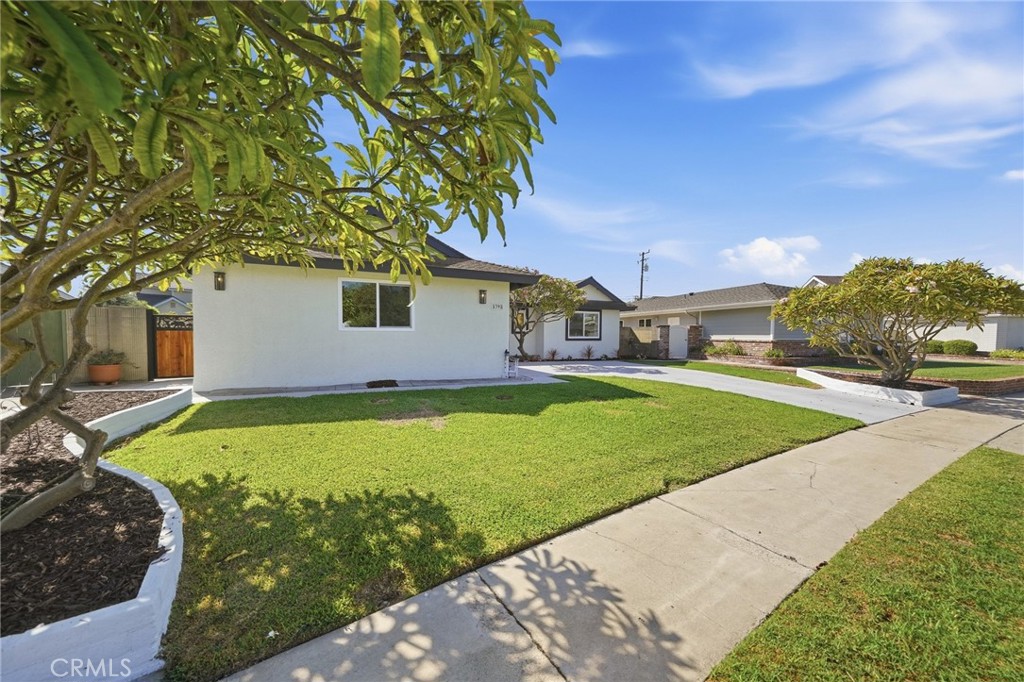 5398 Park Avenue Property Photo 38