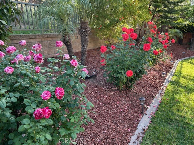 16384 Brancusi Lane Property Photo 24