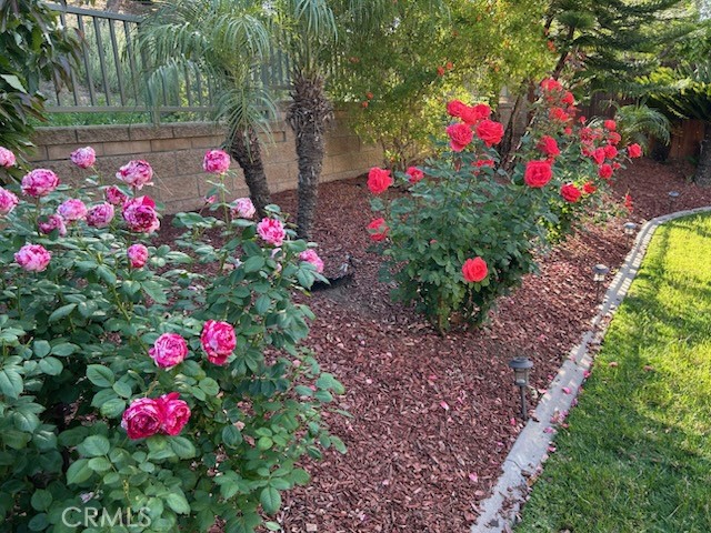 16384 Brancusi Lane Property Photo 25