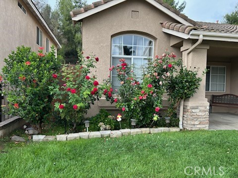 16384 Brancusi Lane Property Photo 30