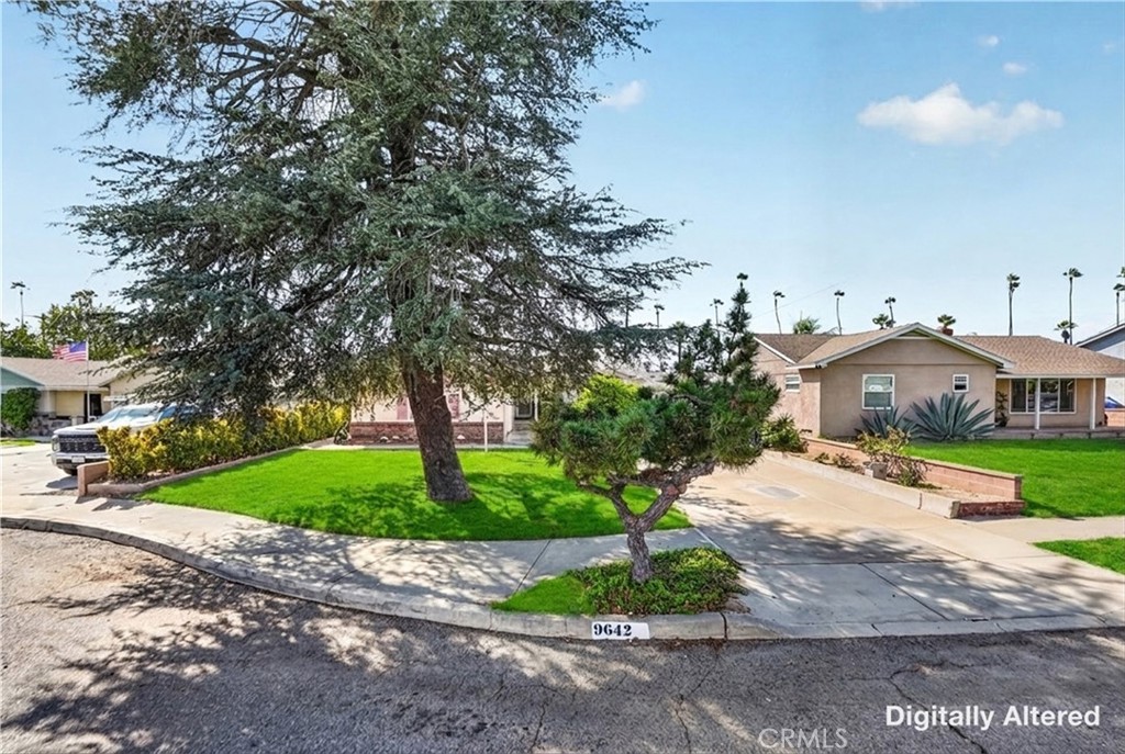 9642 Tangelo Property Photo 4