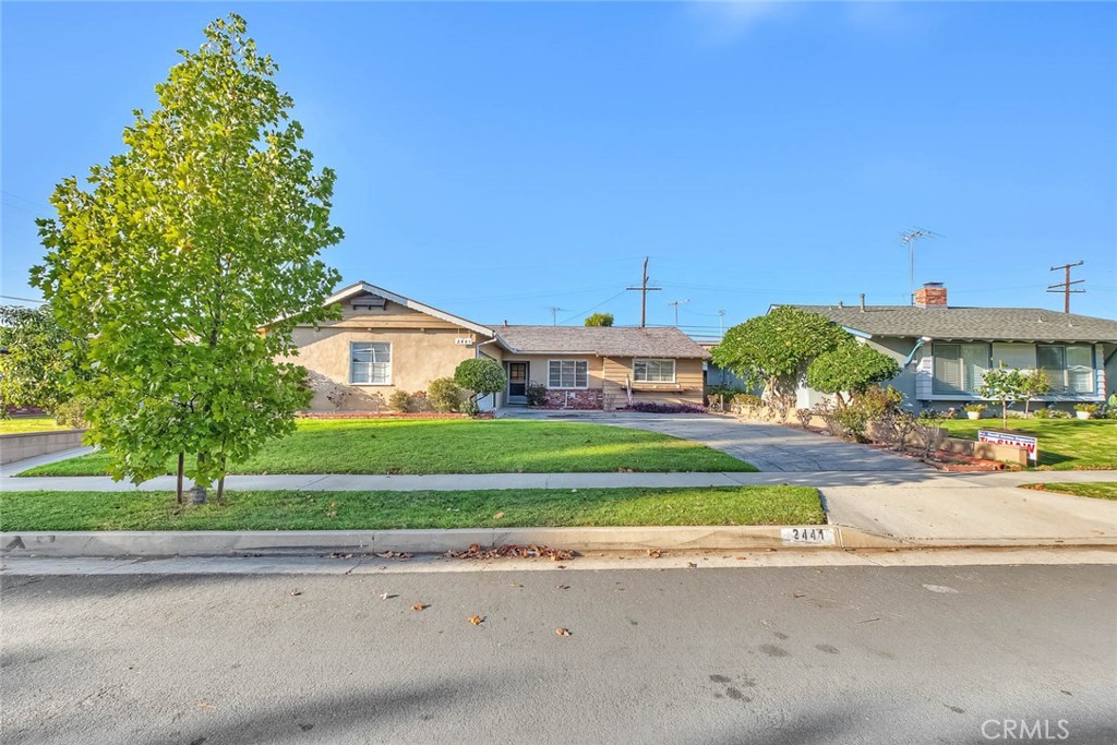 2441 Foxdale Property Photo 3