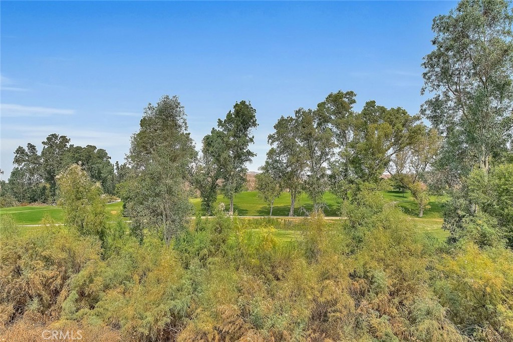 2907 Breezy Meadow Circle Property Photo 48
