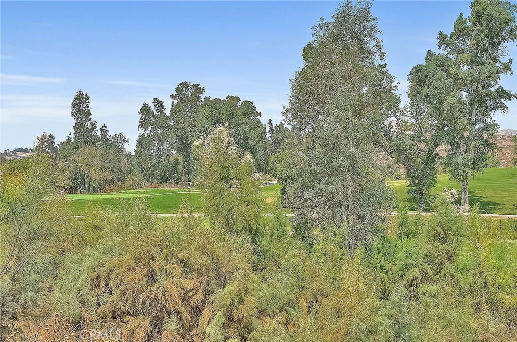 2907 Breezy Meadow Circle Property Photo 49