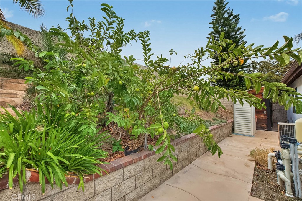 2885 Citrocado Ranch Street Property Photo 67