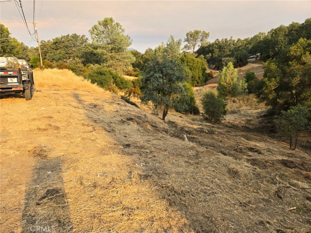 16122 23rd Avenue Property Photo 2