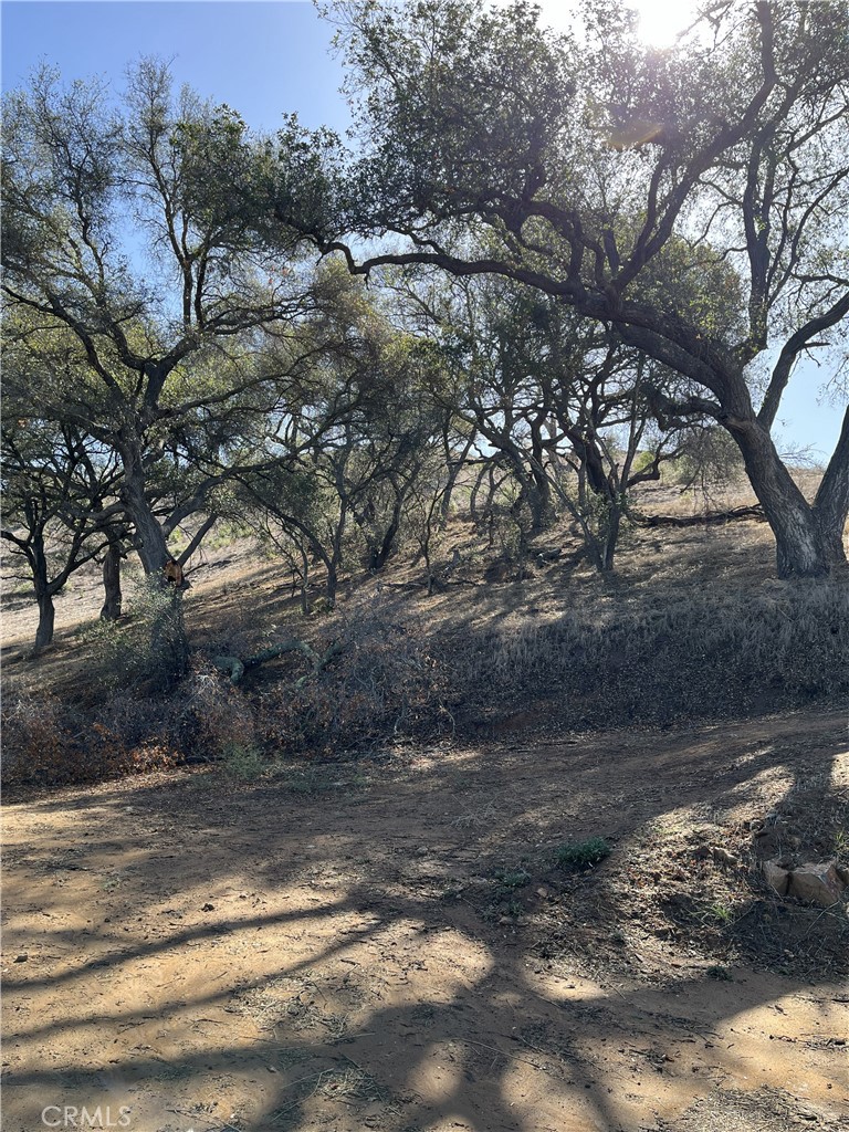 0 Via Tornado Property Photo 8