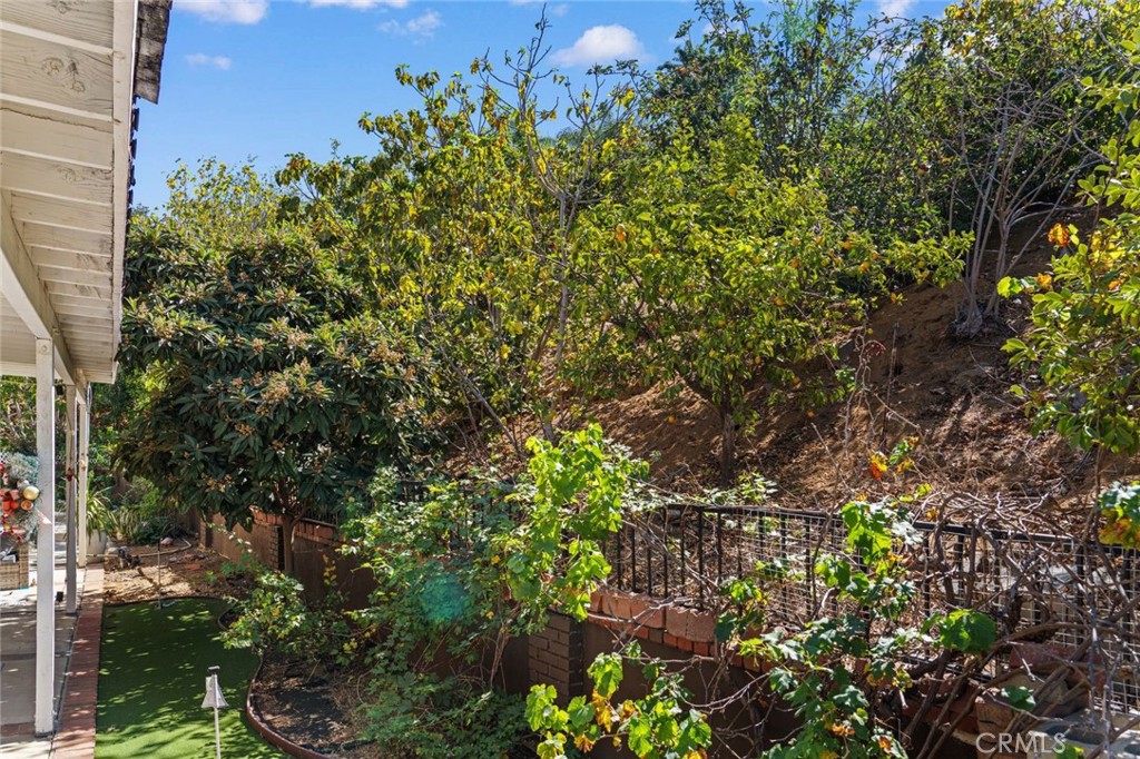 24168 Avenida Rancheros Property Photo 51