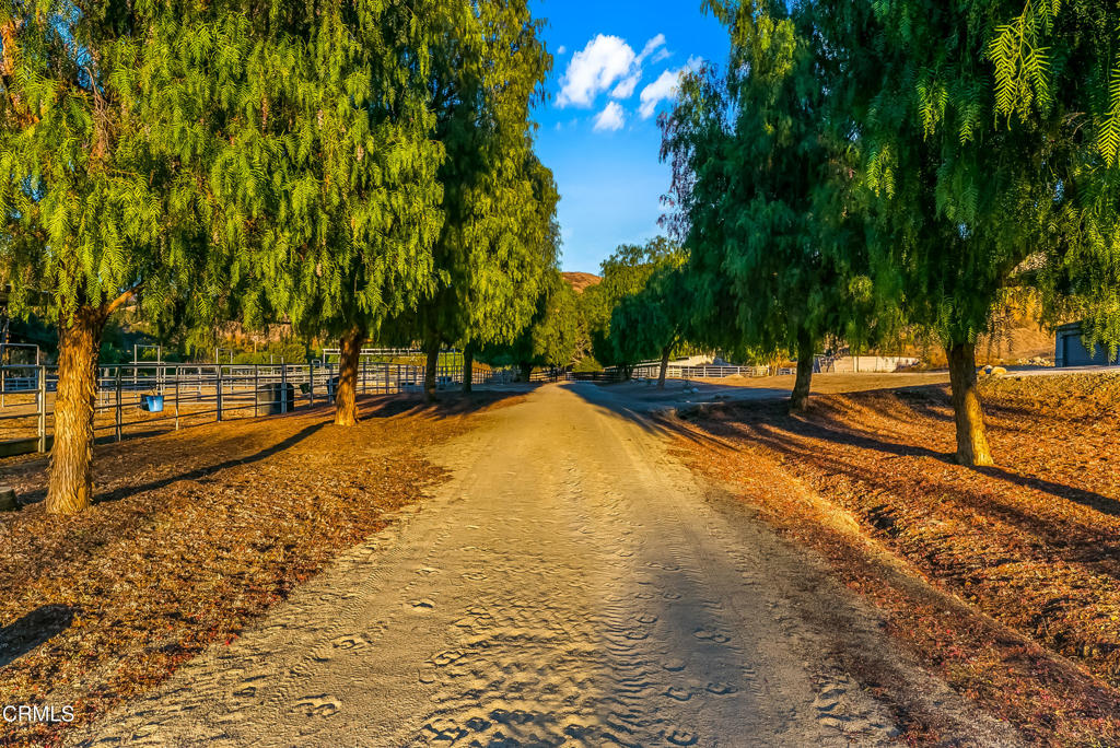 6770 Wheeler Canyon Road Property Photo 1