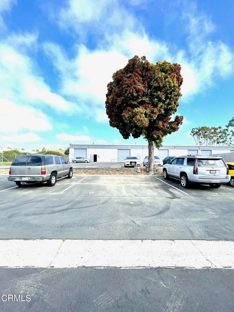 2261 Palma Drive 8 Property Photo 3