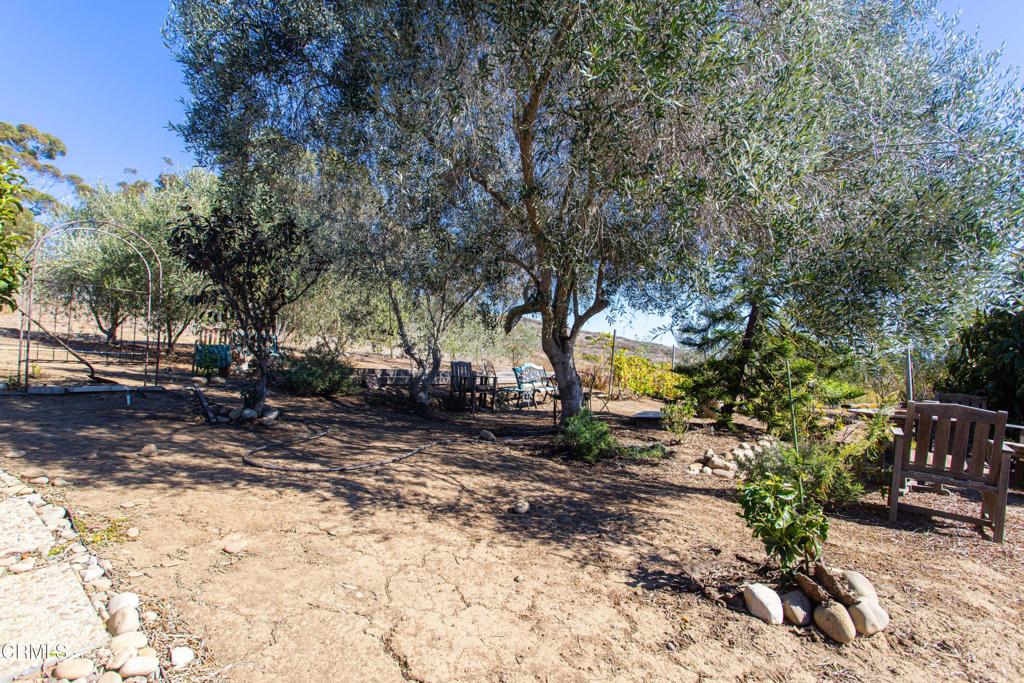 1859 Hillcrest Drive Property Photo 25