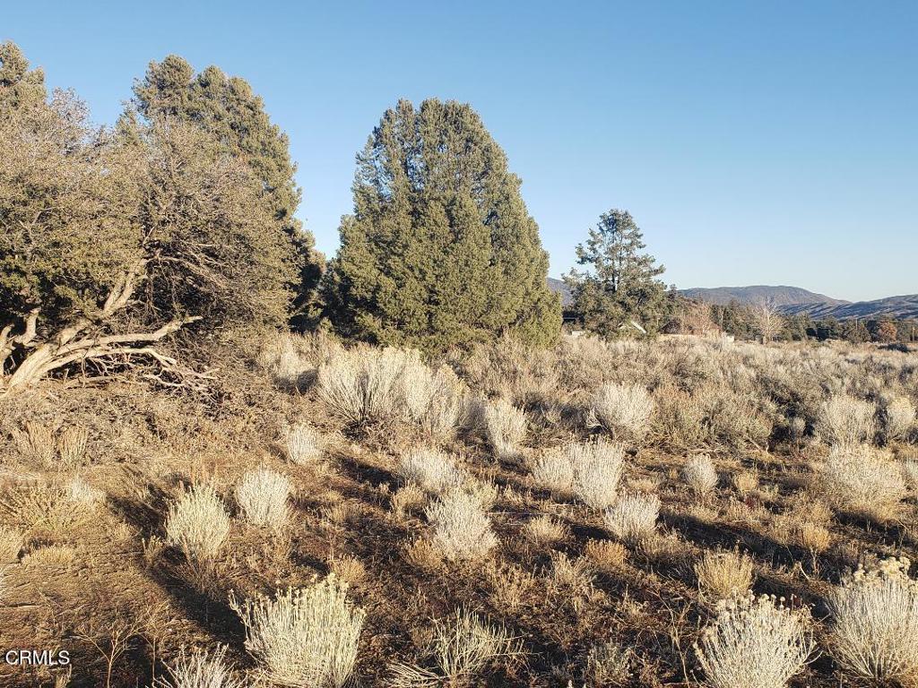0 Boy Scout Camp Road Property Photo