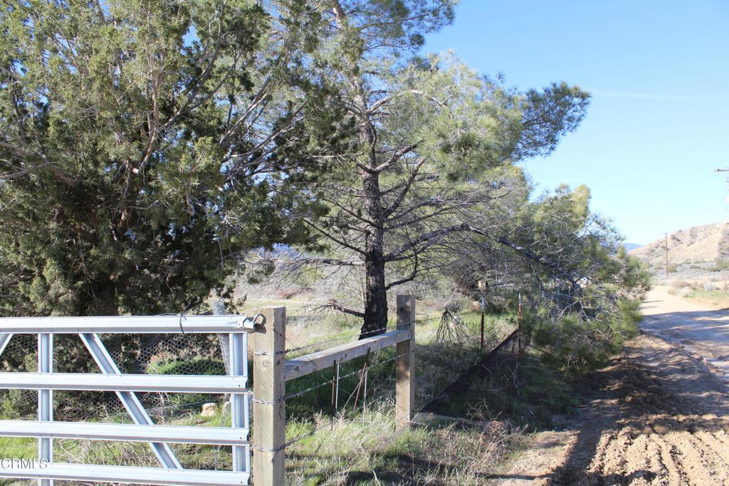 4190 Quatal Canyon Road Property Photo 1