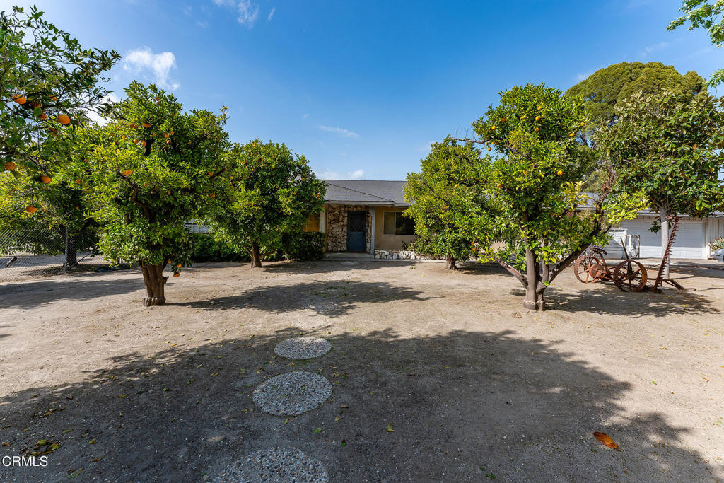 3941 Walnut Avenue Property Photo 4
