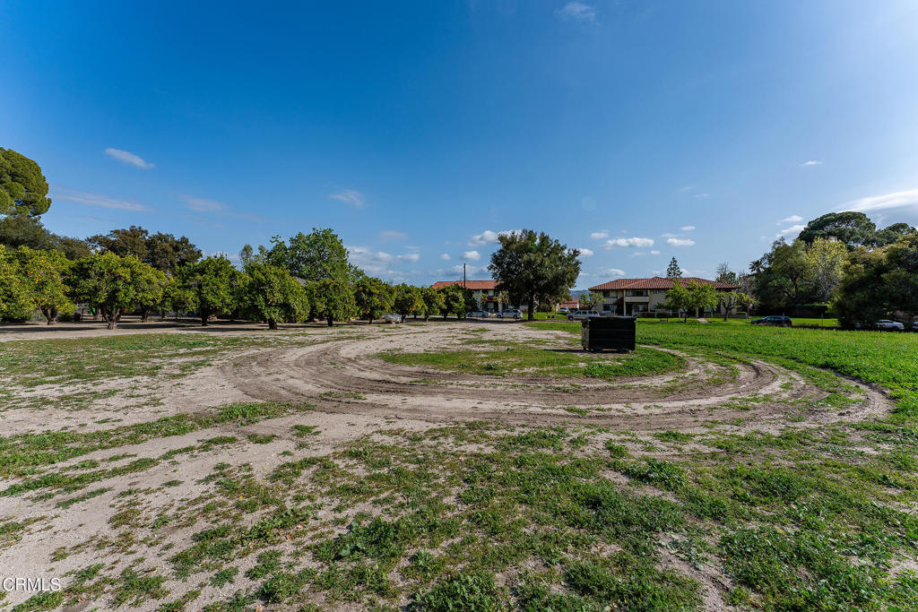 3941 Walnut Avenue Property Photo 18
