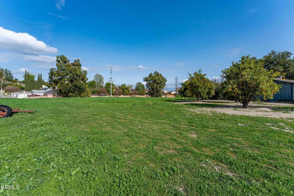 3941 Walnut Avenue Property Photo 22