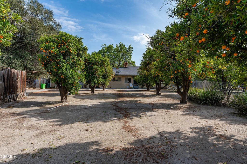 3941 Walnut Avenue Property Photo 25