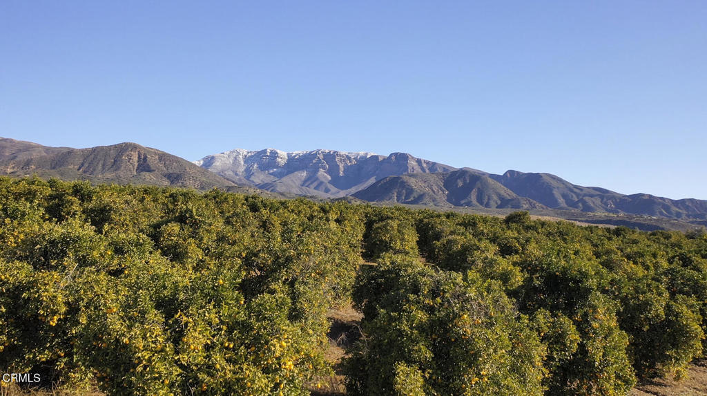 1797 Foothill Road Property Photo 23