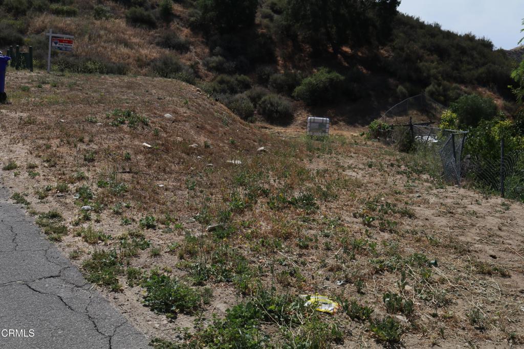 31115 Pinedale Place Property Photo 1